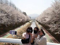 Angka Kelahiran Korsel Akhirnya Naik di Kala Populasi Terus Ngedrop