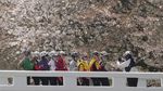 Potret Warga Seoul Serbu Taman Buat Nikmati Sakura Bermekaran