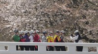 Mereka berjalan-jalan dan mengabadikan foto. AP/Ahn Young-joon  