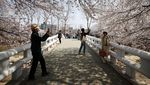 Potret Warga Seoul Serbu Taman Buat Nikmati Sakura Bermekaran