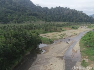 Dulu Rumah Harimau Jawa, Kini Meru Betiri Jadi Benteng Spesies Langka