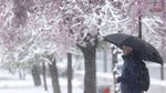 Brrr... Salju Musim Semi dan Angin Kencang Melanda Balkan