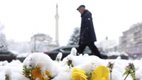 Seorang pria lanjut usia berjalan di samping bunga-bunga yang mekar saat hujan salju di pusat kota Sarajevo, Bosnia, Selasa (4/4/2023). AP/Armin Durgut  