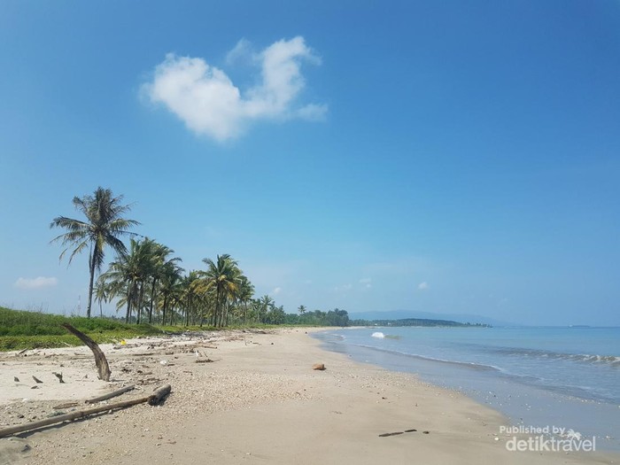 Garis pantai di selatan yang panjang dengan jejeran pohon kelapa.