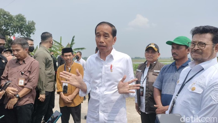 jokowi di tuban panen padi jokowi di tuban panen padi