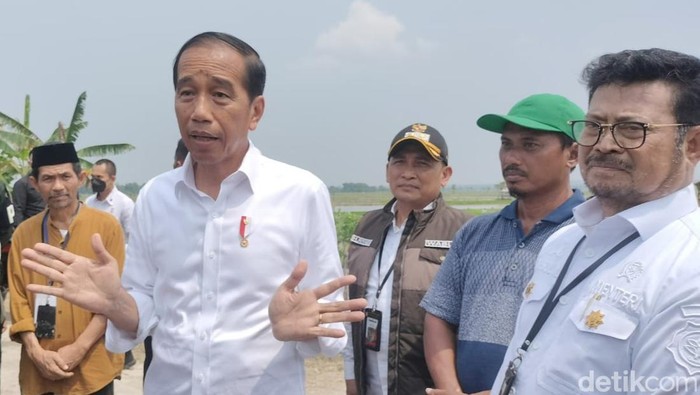 jokowi kunker di tuban panen padi