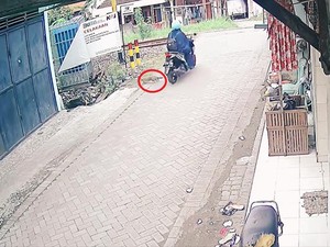 Sederet Fakta Kucing Muncul Isyarat Sebelum Wanita Sidoarjo Tewas Tertabrak KA