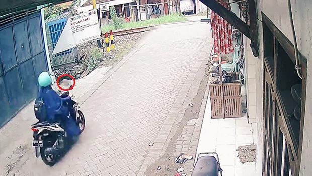 Kucing yang diduga memperingatkan korban kecelakaan kereta api di Candi, Sidoarjo.