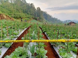 Pencarian Korban Slamet Dukun Banjarnegara Dihentikan Sementara, Ini Alasannya
