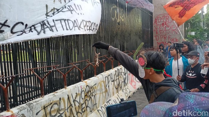 Mahasiswa demo menolak UU Cipta Kerja (Ciptaker) berusaha memasuki gedung DPR dengan menggoyang-goyangkan pagar. Mereka juga melempar tikus mati ke gedung DPR. (Adrial A/detikcom)