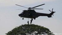 Unsur tempur melibatkan 36 pesawat TNI AU terdiri dari F-16 Fighting Falcon, Sukhoi SU-27/30, T-50i Golden Eagle dan EMB-314 Super Tucano.