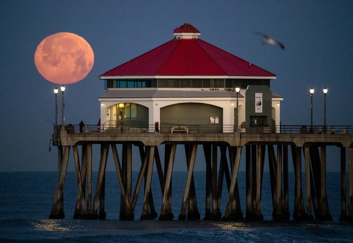 Huntington Beach, CA - April 05: Fisherman and pier walkers have a scenic view of the setting full Pink Moon, named after blooming wildflowers, at dawn at the Huntington Beach Pier in Huntington Beach Wednesday, April 5, 2023. The Pink Moon will be at its brightest at 9:34 PM April 5. (Allen J. Schaben / Los Angeles Times via Getty Images)
