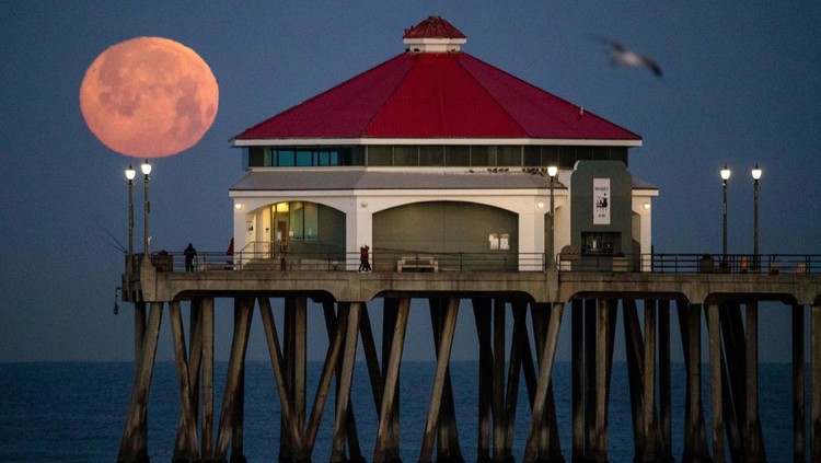 Huntington Beach, CA - April 05: Fisherman and pier walkers have a scenic view of the setting full Pink Moon, named after blooming wildflowers, at dawn at the Huntington Beach Pier in Huntington Beach Wednesday, April 5, 2023. The Pink Moon will be at its brightest at 9:34 PM April 5. (Allen J. Schaben / Los Angeles Times via Getty Images)