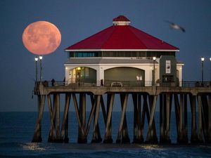 Apa Itu Pink Moon yang Akan Hiasi Langit 2 April 2026?