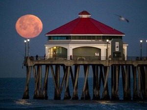 Pink Moon Muncul Awal April, Benarkah Bulan Akan Berwarna Pink?