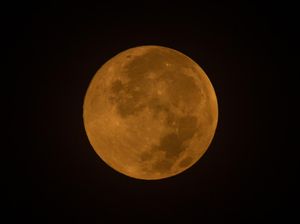 Fenomena Pink Moon April 2026, Kapan Terlihat di Indonesia?