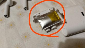 Bantalan gembung. Foto: y_da_hec_u_readn_dis via Bored Panda