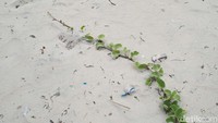 Pantai Santolo terletak di Desa Pameungpuek, Kecamatan Cikelet, Kabupaten Garut, Jawa Barat.