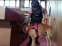 Cek Gereja Jelang Paskah Di Cilacap, Polisi Ajak Anjing Pelacak