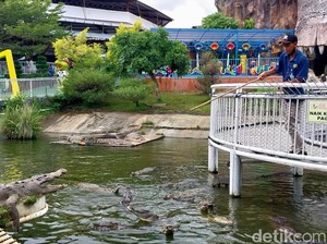 Predator Fun Park: Daya Tarik, Jam Buka, dan Harga Tiket Masuk
