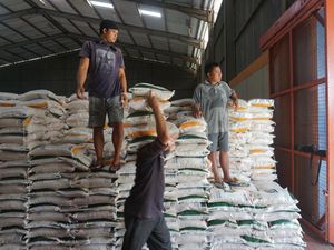 Sebelas Ribu Warga Badung Dijatah Beras Bantuan Bulog Tiga Bulan