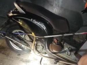 Puluhan Pegawai Swalayan Heboh, Ular Kobra Muncul di Motor