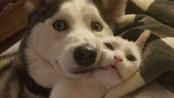 Selfie dulu ya guys ya. Foto: (Bored Panda).