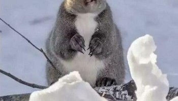 Anginnya kencang sekali pasti itu. Mukanya sampai nggak beraturan. Foto: (Bored Panda).