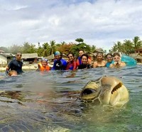 Foto-foto hewan berikut ini memperlihatkan betapa menggemaskannya mereka dengan tingkah polosnya. Semoga bisa membuat suasana hati detikers lebih hangat.