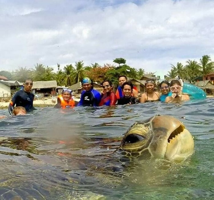 Foto-foto hewan berikut ini memperlihatkan betapa menggemaskannya mereka dengan tingkah polosnya. Semoga bisa membuat suasana hati detikers lebih hangat.