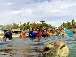 Potret Ekspresi Kocak Hewan Saat Tertangkap Kamera