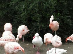 Potret Ekspresi Kocak Hewan Saat Tertangkap Kamera