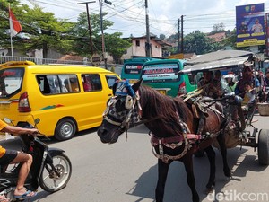 Kusir Delman KBB Minta Kompensasi Jika Mangkal Dibatasi Selama Arus Mudik