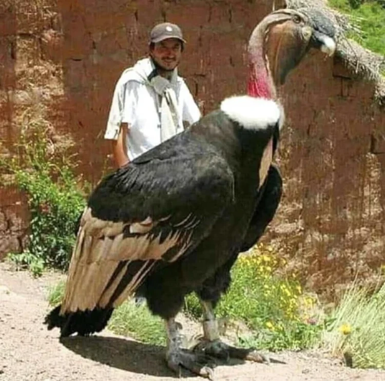 Foto Bikin Mata Terkecoh