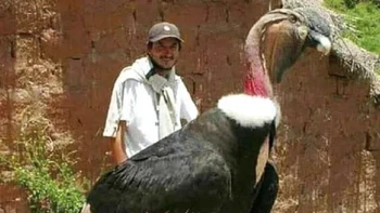 Pria ini seolah menunggang burung. Foto: Reddit