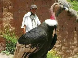 Awas! Gambar Ini Bisa Mengecoh Mata Kalau Lihat Sekilas Saja