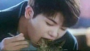 Makan kucing.... Foto: Reddit