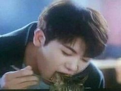 Awas! Gambar Ini Bisa Mengecoh Mata Kalau Lihat Sekilas Saja