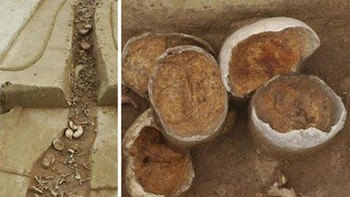 Ditemukan di kota kuno Herxheim, Jerman, dan berasal dari 7.000 tahun yang lalu, sisa-sisa dan artefak yang ditemukan ini, menunjukkan tanda-tanda pengupasan daging yang jelas, persiapan untuk kanibalisme. Foto: Onedio