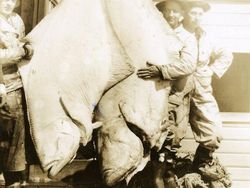 Foto Jadul Nelayan dan Tangkapannya Bikin Melotot