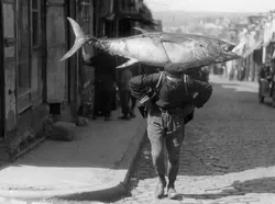 Foto Jadul Nelayan dan Tangkapannya Bikin Melotot