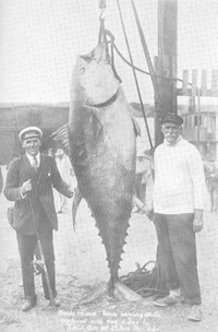 Foto memancing zaman dulu