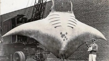 Kapten AL Kahn menunjukkan pari manta raksasa yang ditangkap pada tahun 1933. Foto: Rarehistoricalphotos