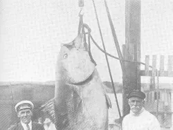 Foto Jadul Nelayan dan Tangkapannya Bikin Melotot