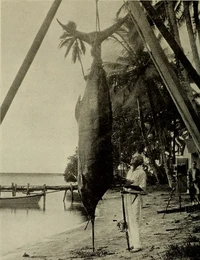 Foto memancing zaman dulu