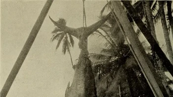 Marlin Tahiti raksasa, 1901. Foto: Rarehistoricalphotos