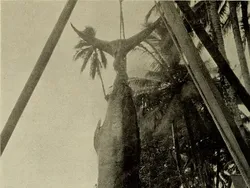 Foto Jadul Nelayan dan Tangkapannya Bikin Melotot