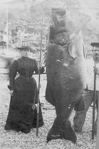 Foto memancing zaman dulu
