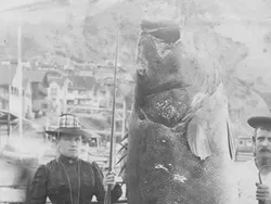 Foto Jadul Nelayan dan Tangkapannya Bikin Melotot