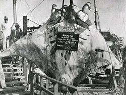 Foto Jadul Nelayan dan Tangkapannya Bikin Melotot